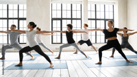 yoga du lundi yoga du lundi logo