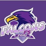 Falcons FS P2016 Falcons FS P2016 logo
