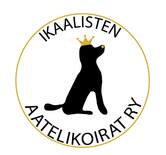 IAk logo