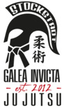 Ju Jutsu Stockstadt Ju Jutsu Stockstadt Logo