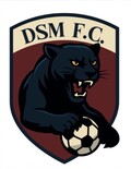 Fußball DSM Logo
