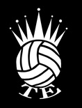 TE-volley Logo