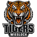 U16 Wiesloch Tigers Logo