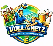 Voll am Netz Logo