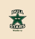 Dull Stars Logo