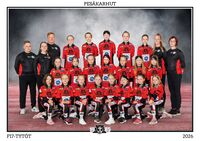 Pesäkarhut F17 Logo