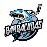 Brokdorf Barracudas logo