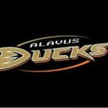 Alavus Ducks Logo