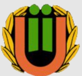 IiU C-pojat Logo