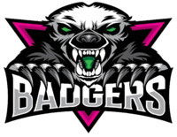 Badgers logo