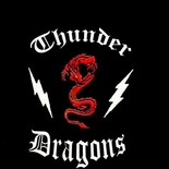 Thunder Dragons logo