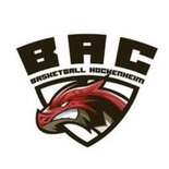 BAC Dragons Damen logo