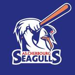 Seagulls logo