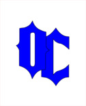 Own Choice II logo