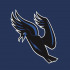 HC SKARVAN logo