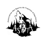 Asta logo