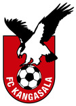 FCK 2010-2011 futsal logo