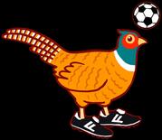 Fallpakan Fasaanit logo