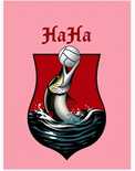Haukiniemen Hakkurit Logo