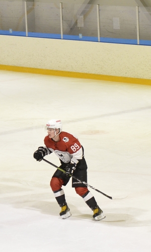 Eemeli Aho