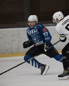 Gregor, profilna slika