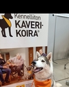 Anne, profiilikuva