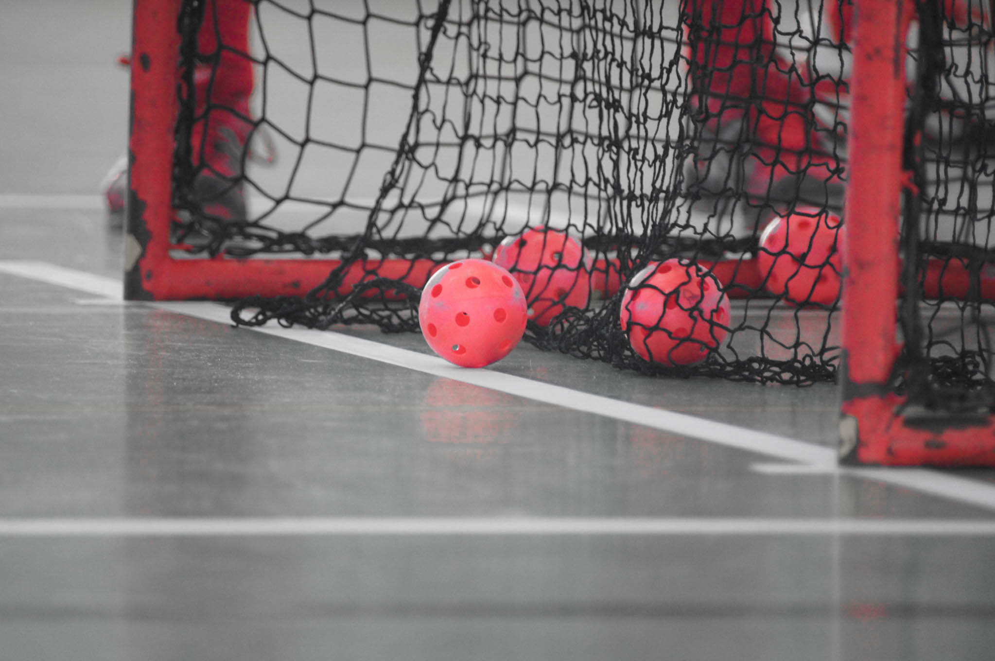 Floorball SC Potsdam U15 Kadermanager.de: floorball, FVBB Regionalliga ...