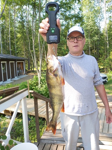 Eskola Harri