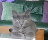 Gail, profile photo