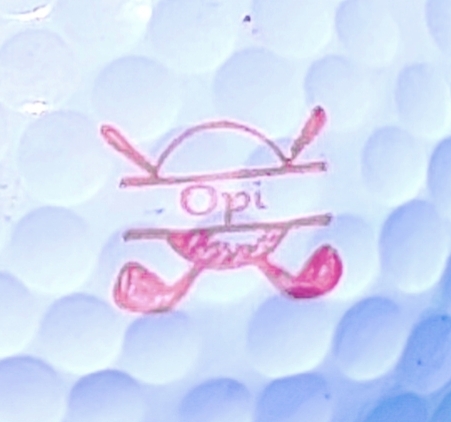 Opi Olavuo