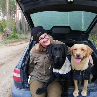 Kirsi Niittymäki